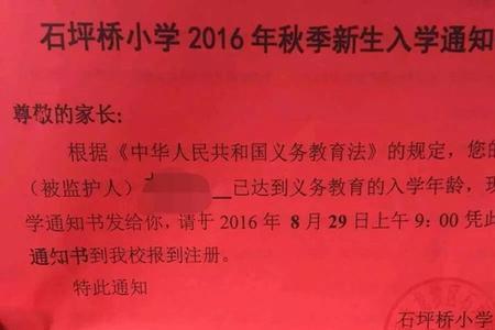 幼儿升小学选择学校申请理由