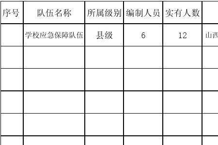 公司统计单位负责人应该填谁