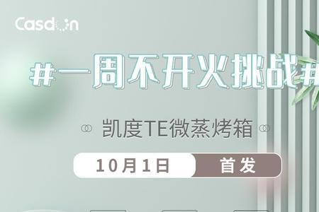 凯度烤箱不出蒸汽