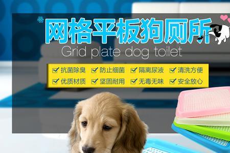 狗狗尿盆有必要买吗
