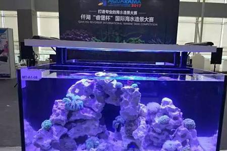 海缸沸石的优缺点