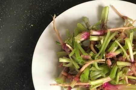 大鱼香别名叫什么