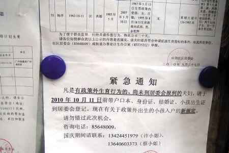 广东四胎罚款多少