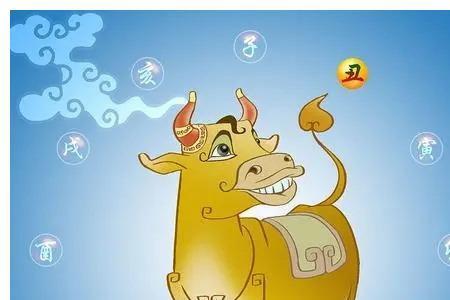 有惊喜是什么生肖