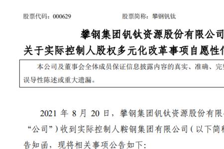攀钢集团属于什么级别的央企