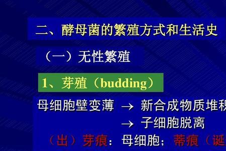 严格真核细胞内寄生的微生物是
