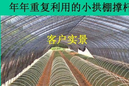 越冬晚抽小拱棚最佳播种期
