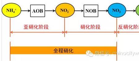 氧化还原电位对反硝化的影响