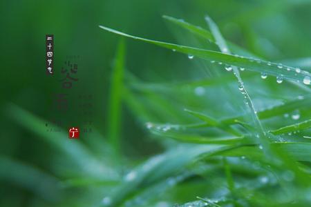 春天的雨把绿色给了造句