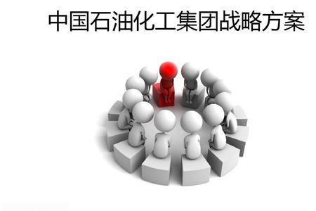 总体进入战略有哪几种类型