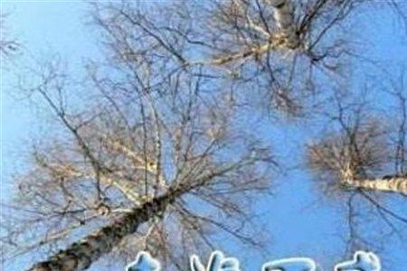 不憾之年的意思