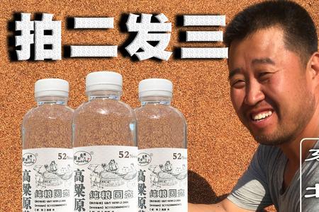 东北小烧怎么理解