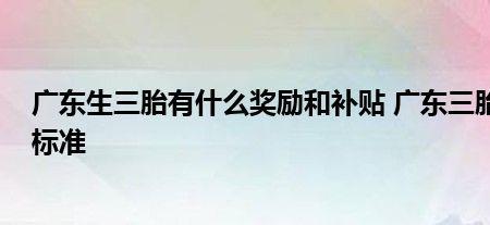 湖北省三胎奖励发放标准