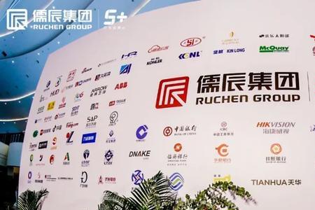 儒辰集团是不是国有