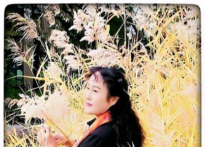 染起芳华的含义
