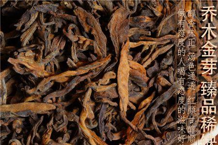 普洱茶和黄金芽哪个好