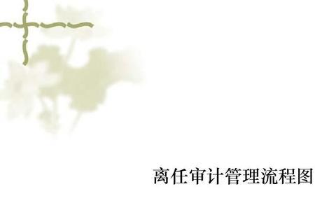离任审计的内容与流程有哪些