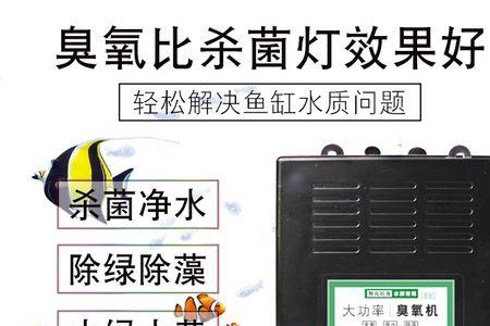 海缸用臭氧机有用吗