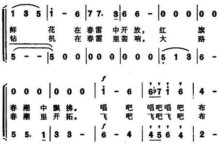 带鸟的歌曲