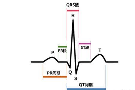 逆钟向转位什么意思
