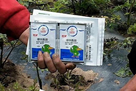 丙环唑能和叶面肥同时使用吗