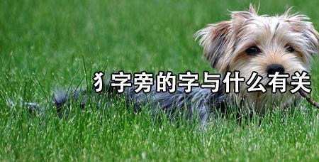 犭九犭余读什么