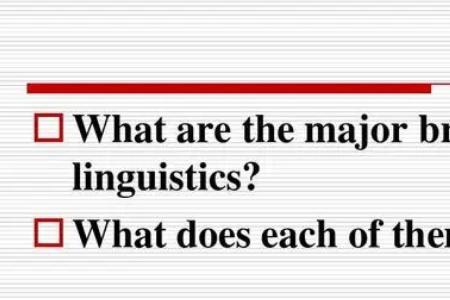 the topic of后面加什么