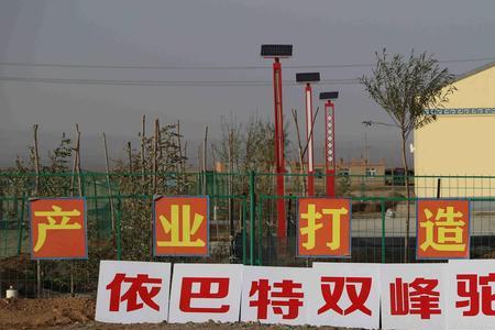 唯顶汇驼乳粉是由哪个单位生产