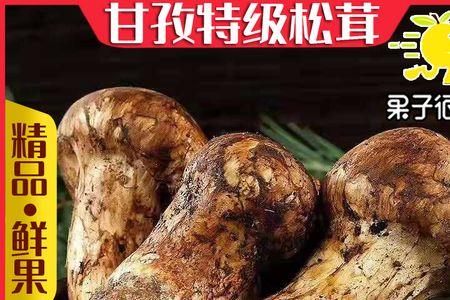 高山菌的正宗做法