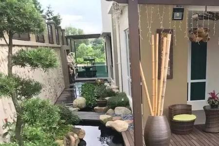 庭院鱼池可以鱼龟同养吗