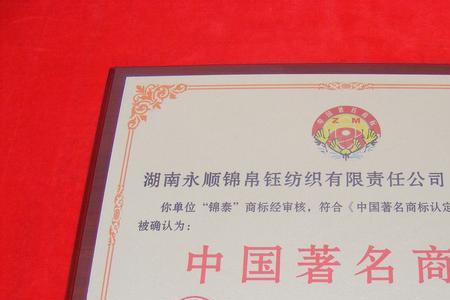 湖南最大纺织企业排名
