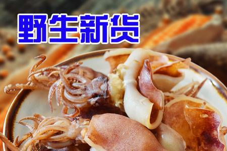 兔子炖墨鱼能不能吃