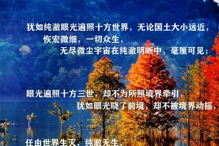 境界与觉悟区别