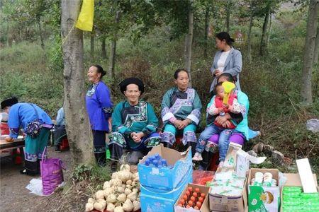 湘西苗族七大姓氏