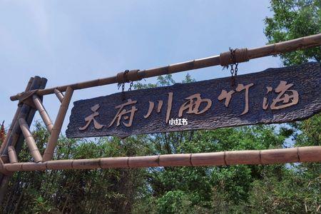 天府竹海景区门票