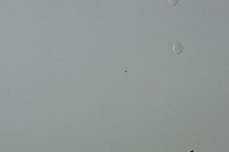 氨水可以直接倒入下水道吗