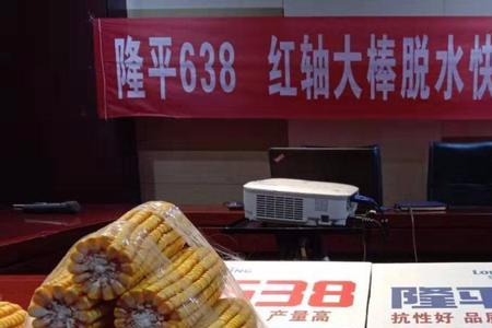 有隆平248玉米种吗
