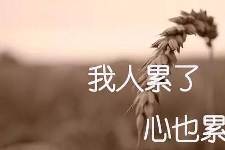 不需要伪装自己的意思