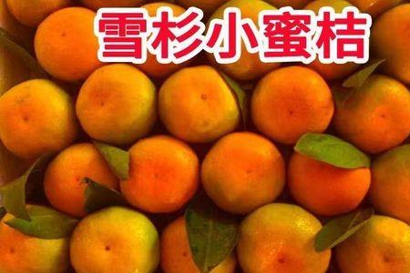 小蜜橘剥皮时为什么有农药味