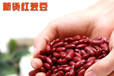水豆食豆子有豆衣怎么弄