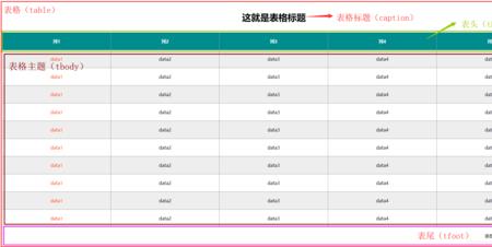 html表格的基本组成部分