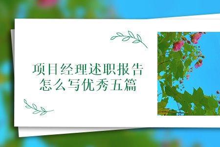 述职报告中的愿景怎么写