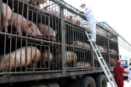 双汇猪肉生产基地是那里