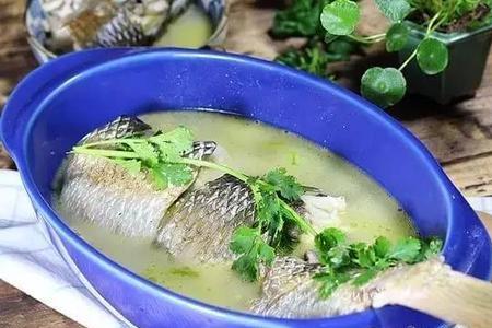 梭鱼和鲤鱼哪个好吃