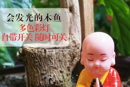 女生说敲木鱼什么意思