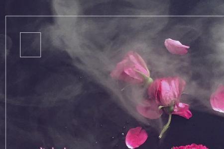 友谊好聚好散是什么意思