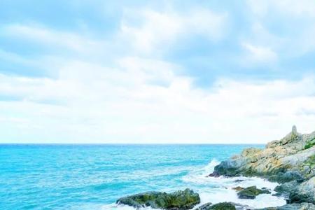 海岛没有冬天是什么梗