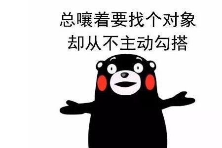 对数单身狗什么意思