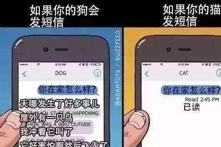是哒和是的区别