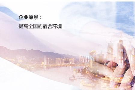 加入公司的期望和愿景